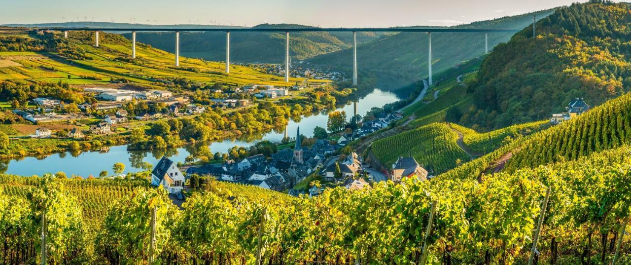 Ferienhaus Am Moselsteig Ürzig エクステリア 写真